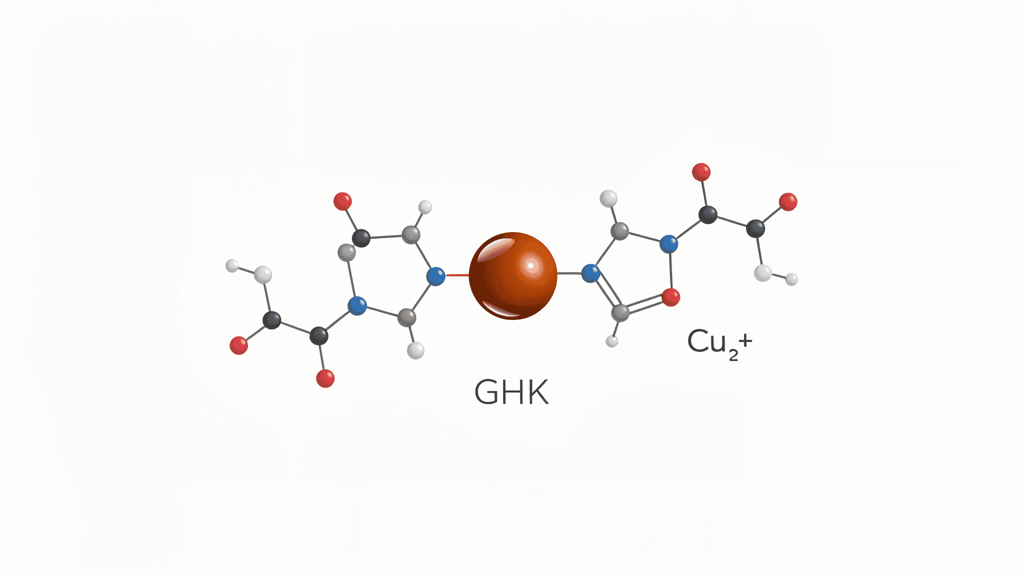 GHK-Cu Research Guide (Copper Peptide): Mechanisms, Wound Healing, Anti-Aging & Skin Regeneration