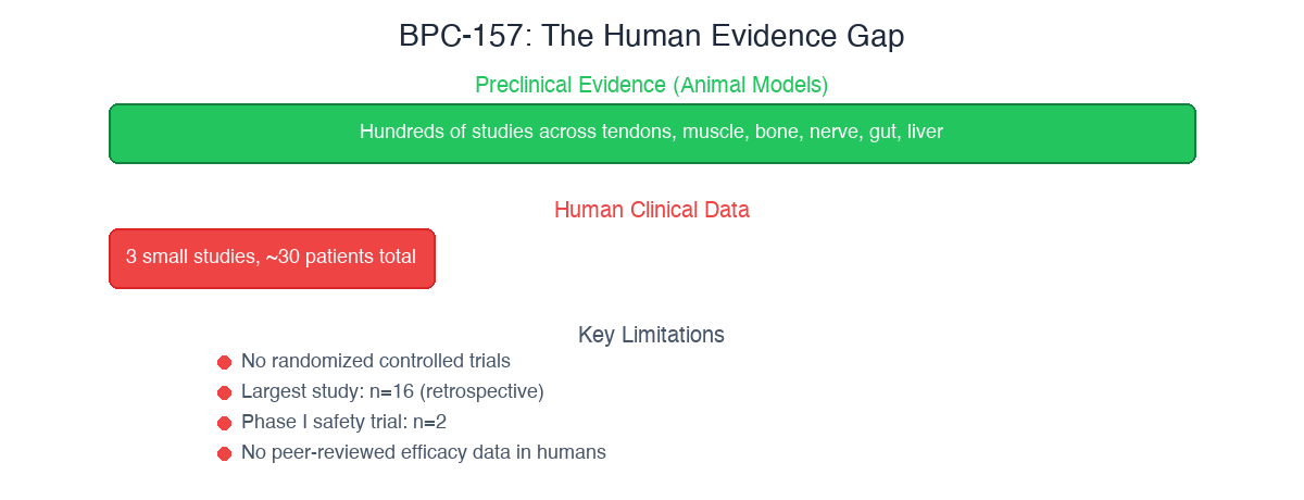 BPC-157 human evidence gap: hundreds of animal studies vs 3 small human studies with ~30 total patients